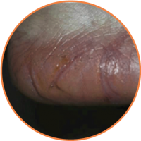 14dia_once_heel_balm 14dia_once_heel_balm