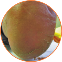 1dia_once_heel_balm 1dia_com_once_heel_balm